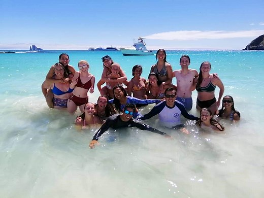 Global Veterinary Semester Abroad - Loop Abroad - Veterinary Study Abroad