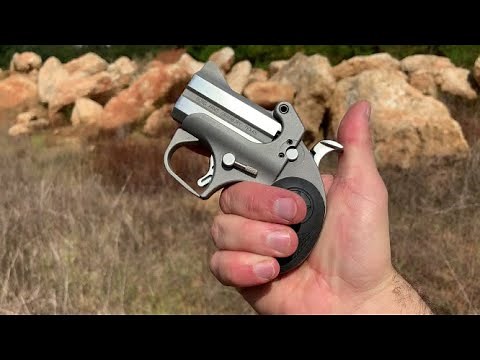 Bond Arms Roughneck 9mm