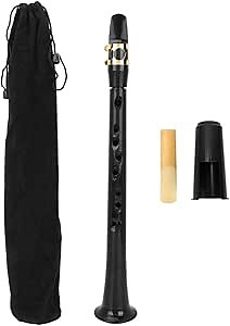 Portable Pocket Saxophone, Compact and Lightweight Mini Saxophone, Travel-friendly Instrument with Storage Bag for Travel, Practice, Music Lessons