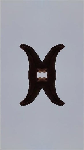 tutorial efek simetr! #shorts