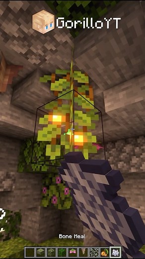 Gorillo on Instagram: "Axolotl Enclosure🌱 Full tutorial on YouTube, search ‘Gorillo’ ✅Follow for more ideas and inspiration! 💾Be sure to save the post for later and share with your friends! Shaders: Complementary Texture: Default —————————————————————————— #minecraft #minecraftbuilds #minecraftinspiration #minecrafttutorial #minecraftideas #minecraftyoutuber #minecraftmodern #minecraftcreation #minecrafthowto #minecrafthacks #minecrafter #minecraftdaily #minecraftbuild #minecraftcreations #mcp