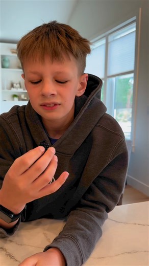 Second blackberry challenge. He tried two bites! Have you ever eaten one berry off a blackberry? It can be done. #childhoodcancer #childhoodcancerawareness #foodaversions #radiation | Love For Luke