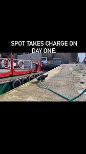 49K views · 2.7K reactions | Spot the Dog in rope crew mode. #ferrytravel #visitscotland #scotland #glenelg #turntableferry #isleofskye #skyeferry #skye #ferries #crossing #overtheseatoskye #glenelginn #tidalrace #coast #shipping #northcoast500 #icuscotland #instadaily #highlands #scottishlandscape #lochs #mountains #reflections #seaeagles #bbcscotlandpics #officialisleofskye #hiddenscotland #spotthedog #ferrydogs | The Original Glenelg-Skye Ferry | Facebook