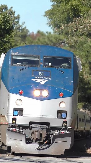 Amtrak 80, the Carolinian, arrives at Cary Train Station in Cary, NC #Amtrak | NCRailfan1869