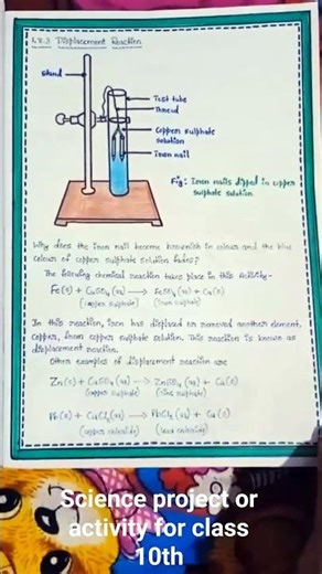 Science project or activity for class 10th FORMATIVE ASSESSMENT - 01 (Activity -1& Activity -2)