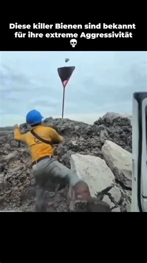 WissenWie on Instagram: "👇 ChatGPT erzielte allein im Jahr 2025 einen Umsatz von über 10 Milliarden US-Dollar – mehr als viele etablierte deutsche Tech-Unternehmen wie SAP oder Infineon. Damit gehört ChatGPT zu den am schnellsten wachsenden digitalen Produkten der Welt und beweist, wie stark die Nachfrage nach Künstlicher Intelligenz in kürzester Zeit gestiegen ist. Doch ChatGPT ist weit mehr als nur ein Chatbot. Mit Millionen täglicher Nutzerinnen und Nutzern in Unternehmen, Schulen und Hausha