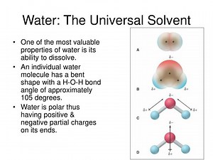 Water: The Universal Solvent - SlideServe