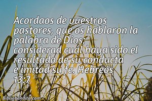 Explicación Hebreos 13:7. 'Acordaos de vuestros pastores, que os hablaron la palabra de Dios; considerad cuál haya sido el resultado de su conducta e imitad su fe.' - BibliaBendita