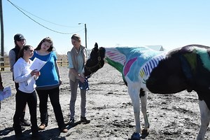 RCGC's Equine Science Program Draws Attention to Bones and Muscles