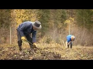 Gottes stille Rebellen - Die Amish in den Rocky Mountains (2)
