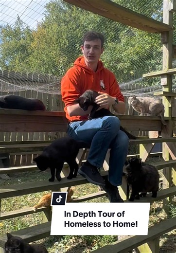 Explore Our Amazing Cat Adoption Facility in Marion, OH