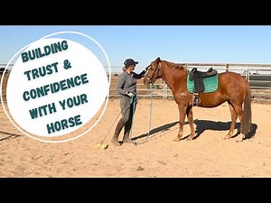 Mastering Green Horse Training: Build Trust and Confidence
