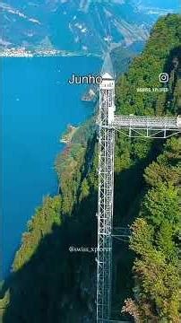 31 de janeiro de 2026