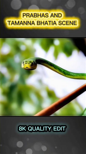Prabhas and Tamanna cutest snake 🐍 masti movie scene #funnyexpression