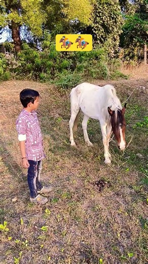 AA23 intro MassBGM🔥🔥 | #AA23 #AALoki #LK7 #youtubeintro #capcuttemplate #trending reels #alluarjun