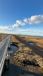 Bass Hole - Greys Beach - Yarmouth Port, Massachusetts - Cape Cod - Fall 2025 | Cape Cod, Massachusetts