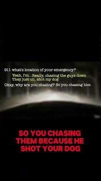 What Happened When They Messed With a Navy Seals Dog?