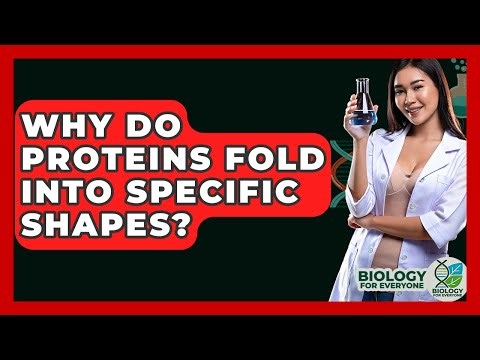 Why Do Proteins Fold Into Specific Shapes? - Biology For Everyone