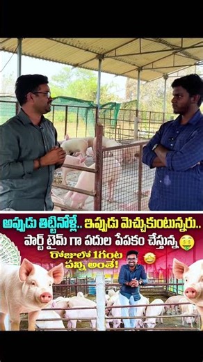 🥺😥. #pigfarm #emotion #pig #farming #telugu #trending #short #viral