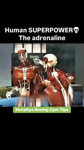 11K views · 142 reactions | Adrenaline — also called epinephrine — is...