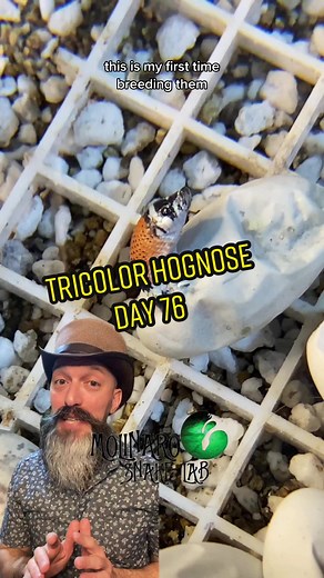 Keary Molinaro on TikTok