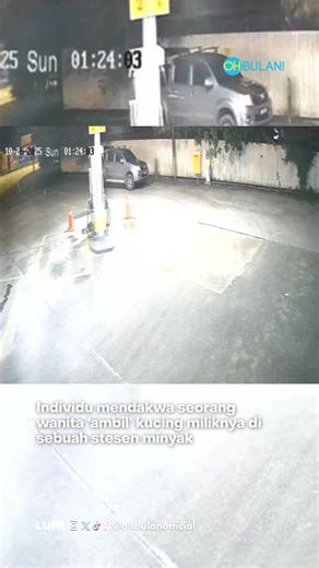 52K views · 490 reactions | kucing nama ‘misai’ hilang disyaki ‘diambil’ oleh seseorang individu 梁 Sumber: shellbeseri #ohbulan #terkini #kucing #hilang #misai #shell | OHBULAN! | Facebook