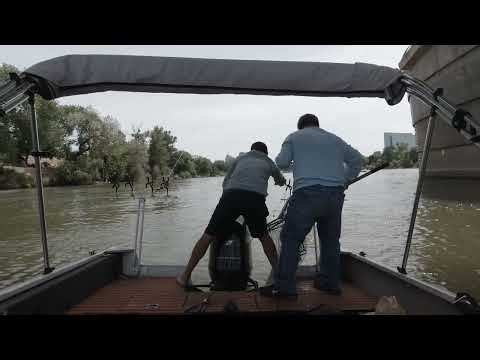 Shad Setup Rig that catches fish! (Short)