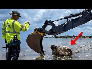 This needs to be stopped.