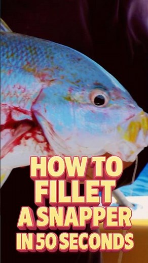 Fillet Like a Pro: 50 Seconds Challenge! #fish