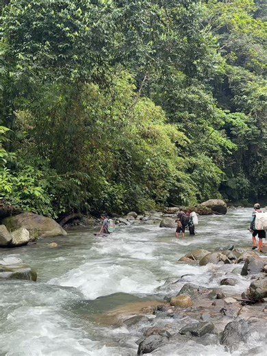 Petualangan Camping Hujan di Hutan Rimba