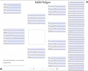 RABBIT PEDIGREE TEMPLATE - Blank Rabbit Pedigree - Printable Instant Download, Insert Your Logo, Edit on Canva, Pedigree Form, Bunny Form - Etsy