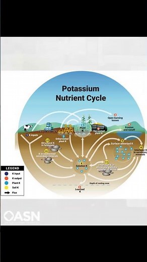 Potassium in High Clay Soils: Exploring the Haney Soil Test with Liz Haney