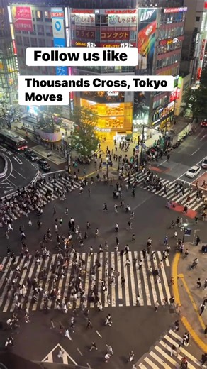 Tokyo’s Busiest Crossing in Real Life #Tokyo #ShibuyaCrossing #JapanLife #CityRush #UrbanVibes #Japan #Tokyo #TokyoDaily | Tokyo Daily