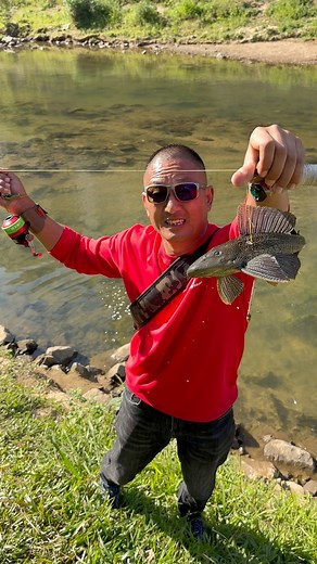 The water monster about to hibernate | Tao Liu