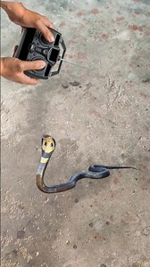 Remote Control Snake 🐍
