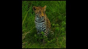 How to Understand Different Camera Lenses