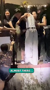 64K views · 1.4K reactions | Not all heroes wear capes 隸 | Furry Tails | Facebook