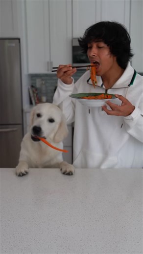 Brandon Frias on Instagram: "This viral carrot ribbon salad is crisp, zesty & somehow makes you feel like you’ve got your life together ✨ it’s packed with nutrients that supports digestion and detoxification which will have your skin glowing! INGREDIENTS Carrots 🥕 Rich in beta-carotene (vitamin A), which supports skin cell turnover, protects against sun damage & gives skin a natural glow. Cilantro 🌿 Aids detoxification by binding to heavy metals; also has antioxidants that help fight inflammat