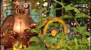 Mr_Blooms_Nursery_S02E24_The Butterfly Express