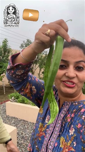 Surprise Harvesting with Maa 1st Time 🎊 | Miss mat karna 😱