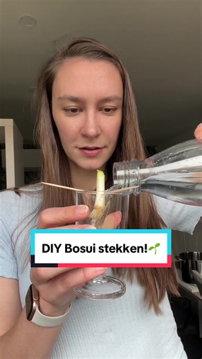 Ik hoop dat mama trots op mij is🥰🌱 Want weggooien kan altijd nog! Daarom ga ik deze lente uitjes met jullie opnieuw stekken en kijken hoe groot ze gaan groeien🤗🤩 En ik hoop natuurlijk dat ik ze opnieuw kan oogsten voor Kip Siam!🐓🧅 #cardistrygirl #weggooienkanaltijdnog #mama #lenteui #bosui #stekken #diy #foodtok #kipsiam #stekjesmaken #lekker #eten #reusable #recycle #nederlandsetiktokkers #tiktoknl #trending #fyp #voorjou #viral #voorjoupagina #foodtiktok #recepten