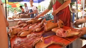 China dog meat festival