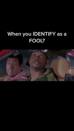 #adamsandler #wayansbrothers #bulletproof #disneyland #fools #funnyvideo #identifyas #humour