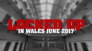 The criminals ,jailed, in Wales in June