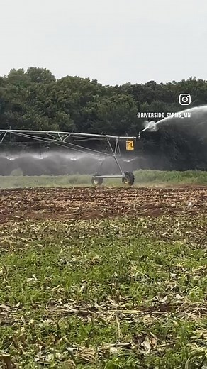 Our upper midwest roots means getting the best irrigation system for watering our crops. We continue our A-Z Riverside Farms weekly post. I is for irrigation . . . The TL company with a 70 year history is our top choice. "TL farming irrigation" systems produced by T-L Irrigation Co., in Hastings, Nebraska is known for its hydrostatic, center pivot, and linear move systems. These systems are designed for water efficiency, precision, and durability, using continuous movement powered by hydraulic p