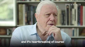 Sir David Attenborough saw something "heartbreaking" while making Blue Planet 2. For the full interview and more like this, subscribe to Unearthed: unearthed.greenpeace.org/sign-up | Greenpeace Unearthed