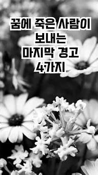 꿈에 죽은 사람이 보내는 마지막 경고 4가지 #조상님꿈 #꿈해몽 #행복한노후
