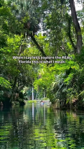 1.1K views | This is what we call the real Florida, the trees, the...