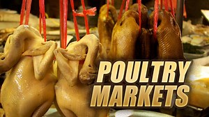 U.S. Department Of Agriculture: Poultry Plant Line Speeds Won’t Increase
