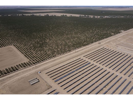 Trump Says US Won't Back Solar, Wind Projects Hurting Farms